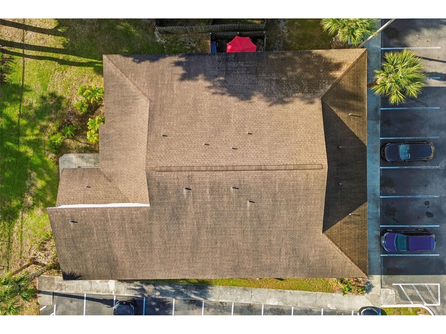 229 Red Maple Place Brandon FL 33510 TB8493428 image21