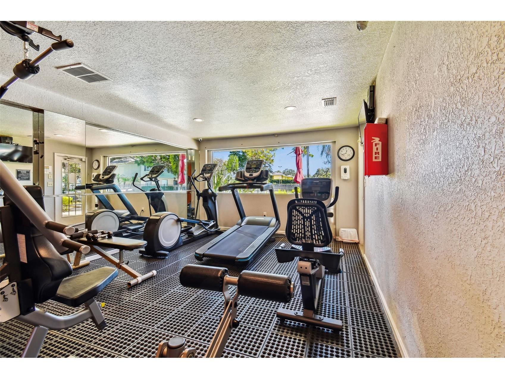 229 Red Maple Place Brandon FL 33510 TB8493428 image38
