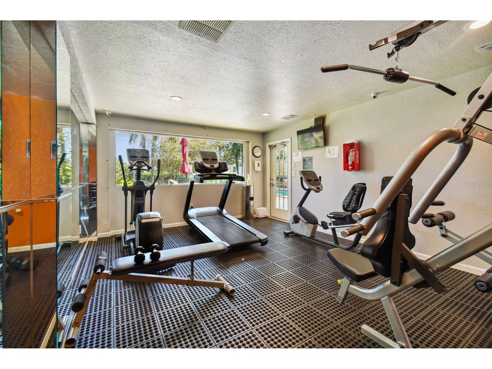 229 Red Maple Place Brandon FL 33510 TB8493428 image39