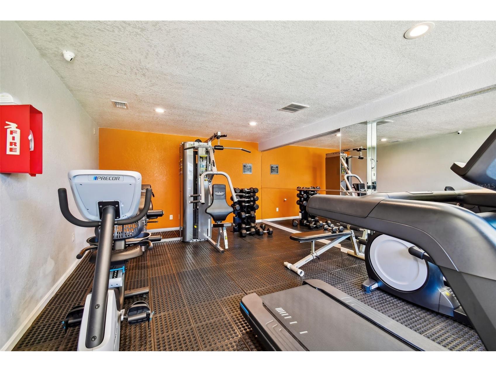 229 Red Maple Place Brandon FL 33510 TB8493428 image40