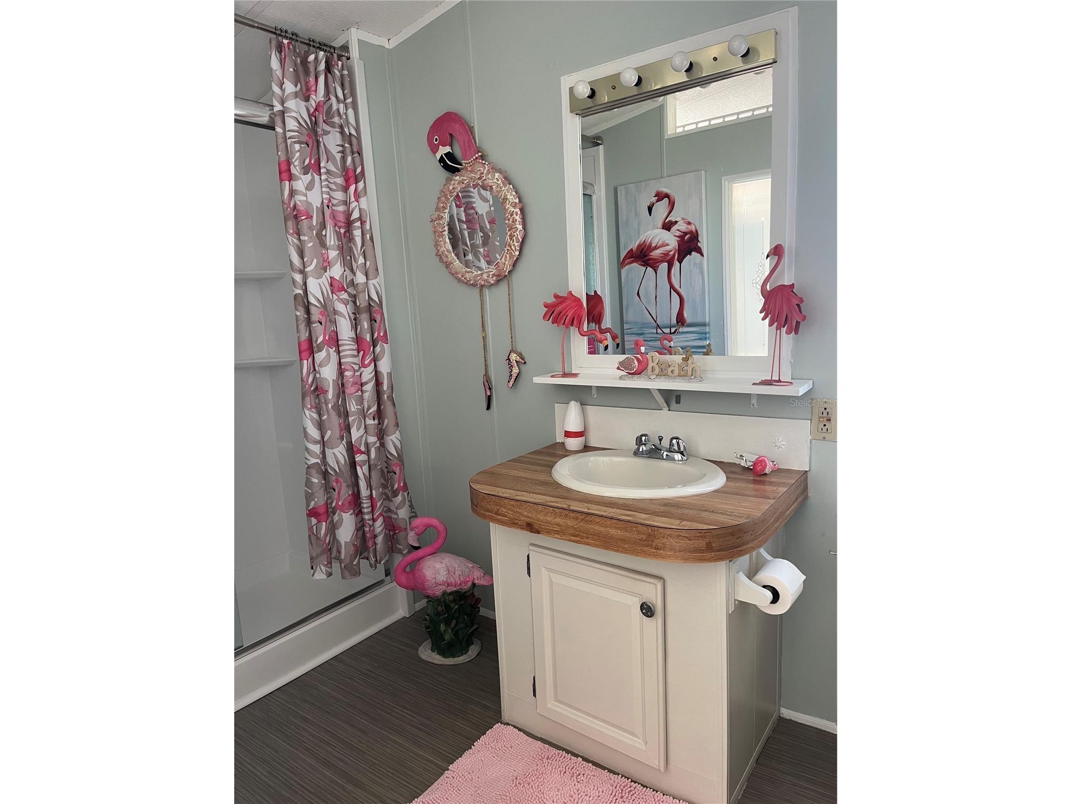 229 Starboard Drive Flagler Beach FL 32136 - INTRACOASTAL WATERWAY FC313672 image13