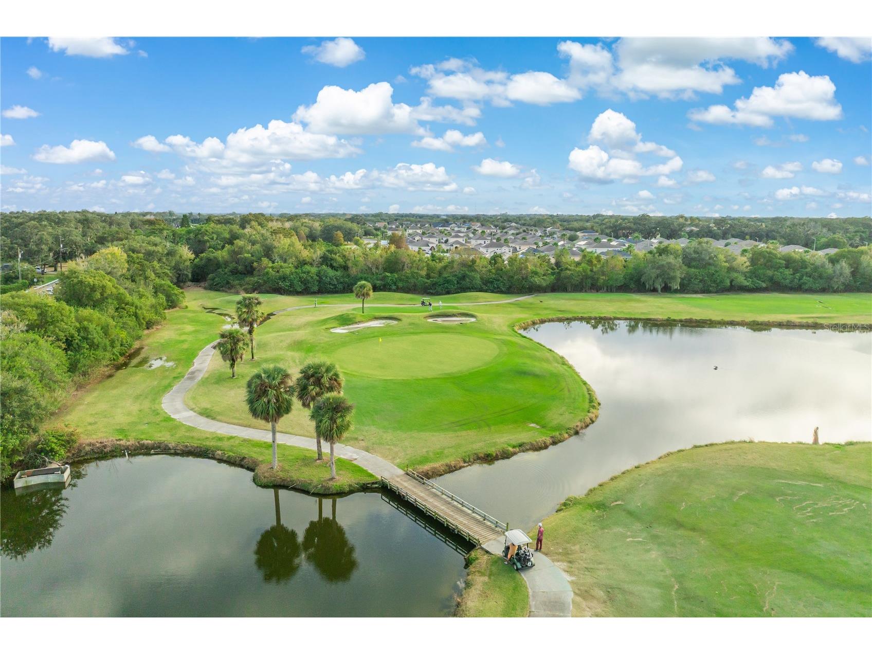 229 Strathmore Circle Kissimmee FL 34744 O6367119 image58