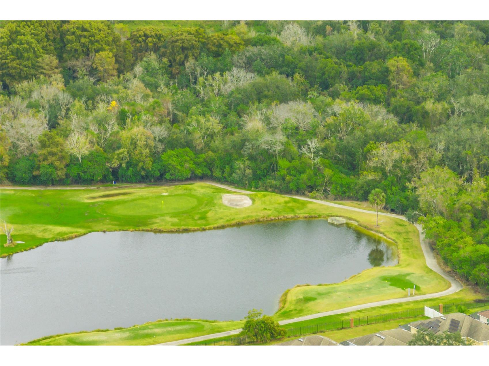 229 Strathmore Circle Kissimmee FL 34744 O6367119 image70