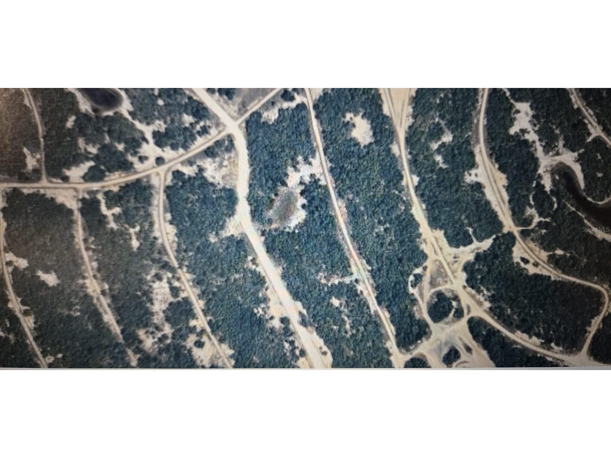 229 Sunway Drive Lake Placid FL 33852 O6376687 image1