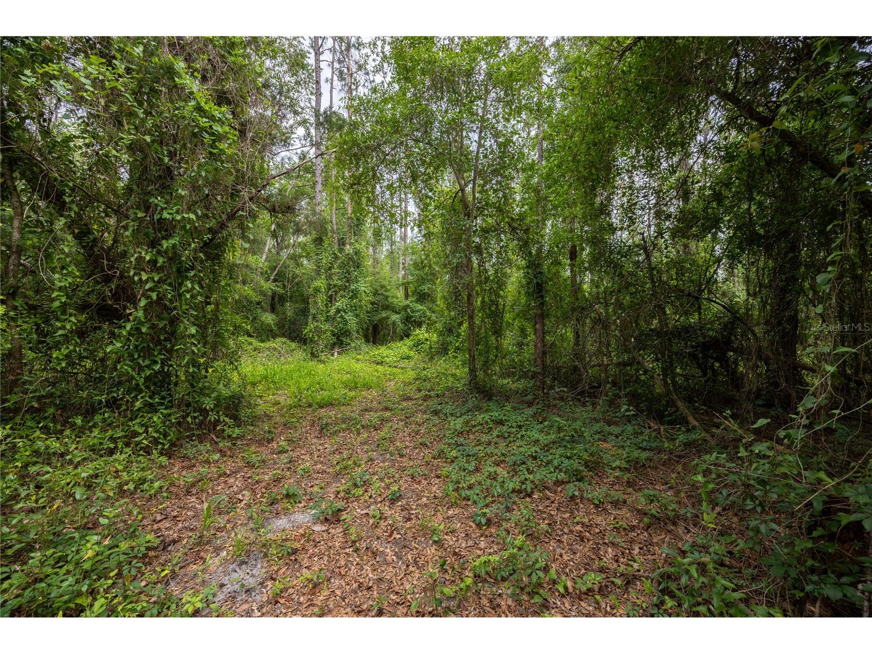 229 SW Barwick Terrace Lake City FL 32024 GC540963 image33
