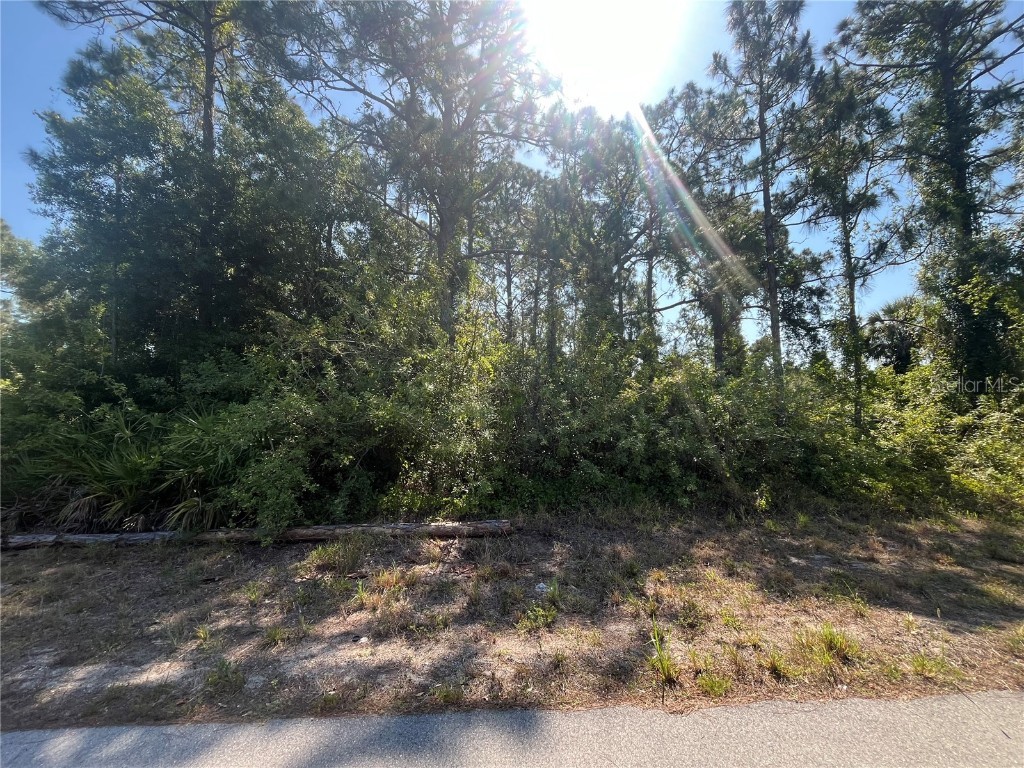 229 Victoria Avenue S Lehigh Acres FL 33974 OK223972 image1