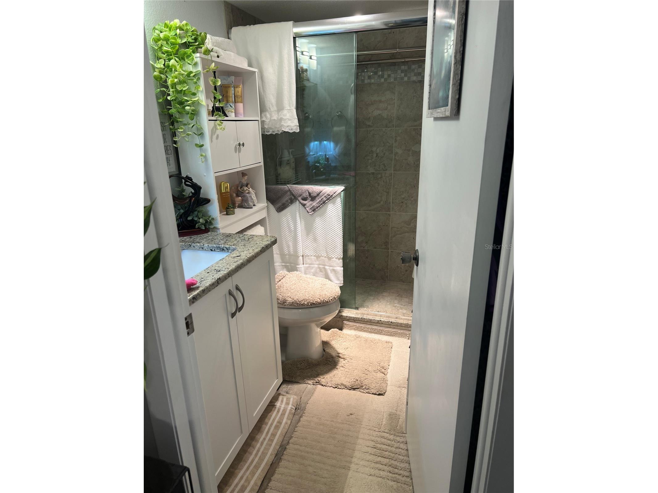 2290 Aaron Street #207 Port Charlotte FL 33952 C7527990 image20