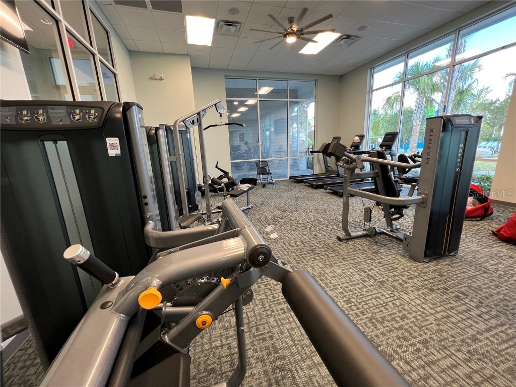 2290 Lelani Circle Davenport FL 33897 S5132843 image57