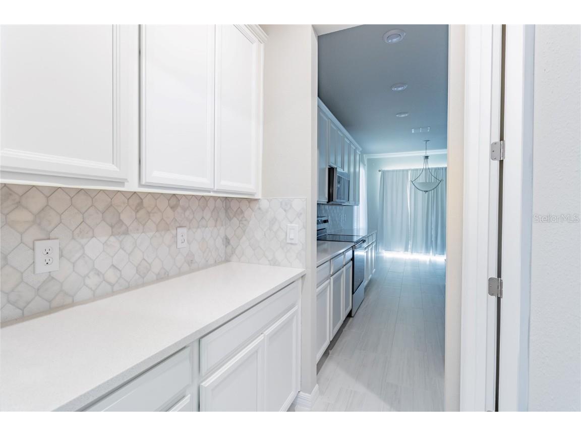 2290 Raven Ridge Road Clermont FL 34715 O6355894 image6