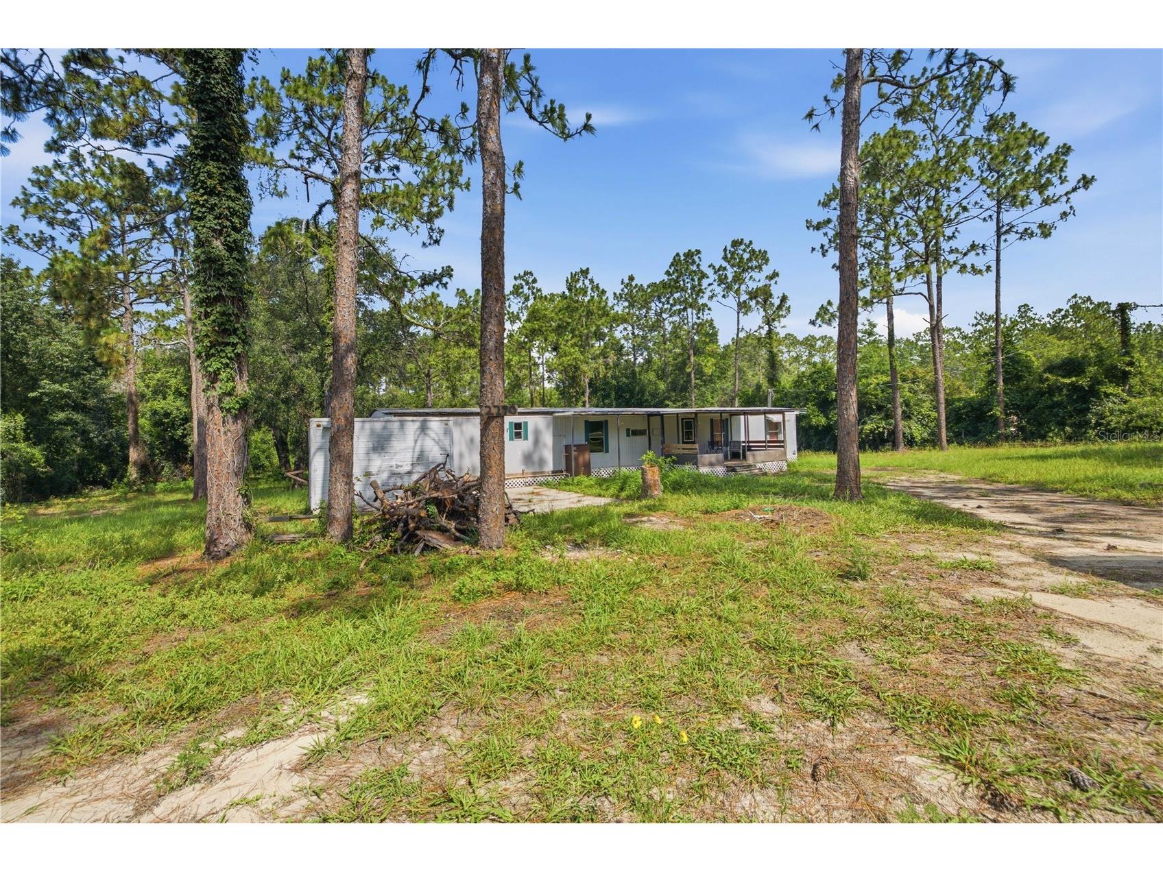 2290 SE 141st Avenue Morriston FL 32668 OM726906 image2