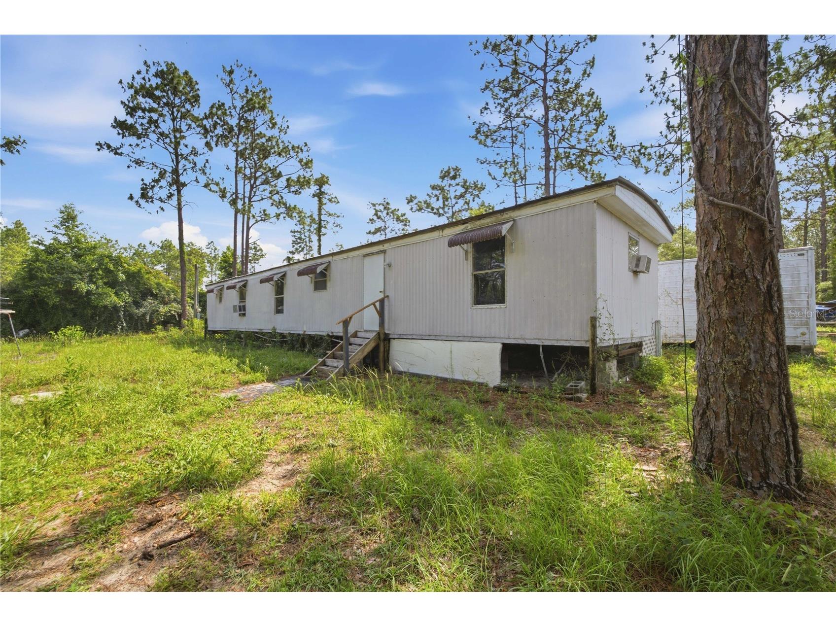 2290 SE 141st Avenue Morriston FL 32668 OM726906 image4