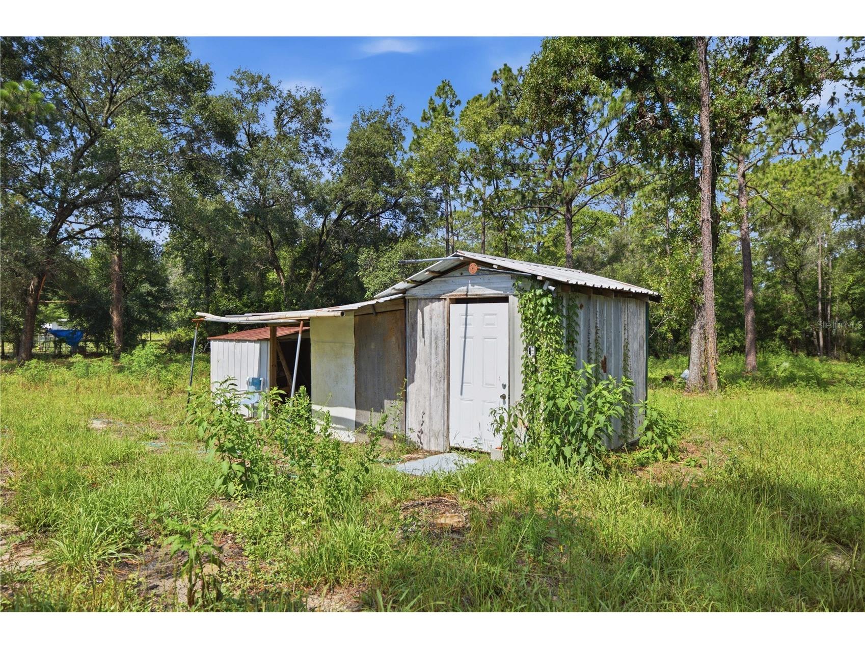 2290 SE 141st Avenue Morriston FL 32668 OM726906 image9