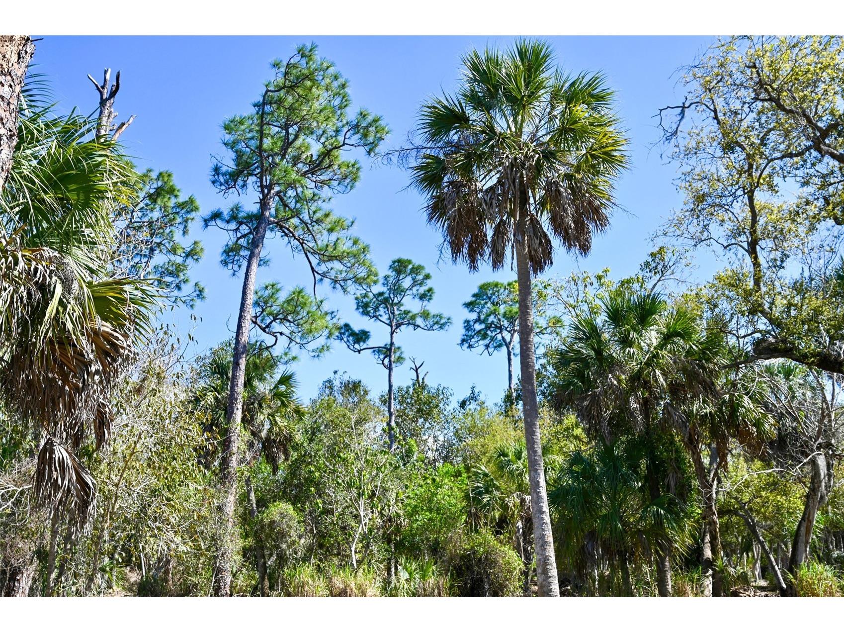 22901 Bayshore Road Punta Gorda FL 33980 C7523987 image10