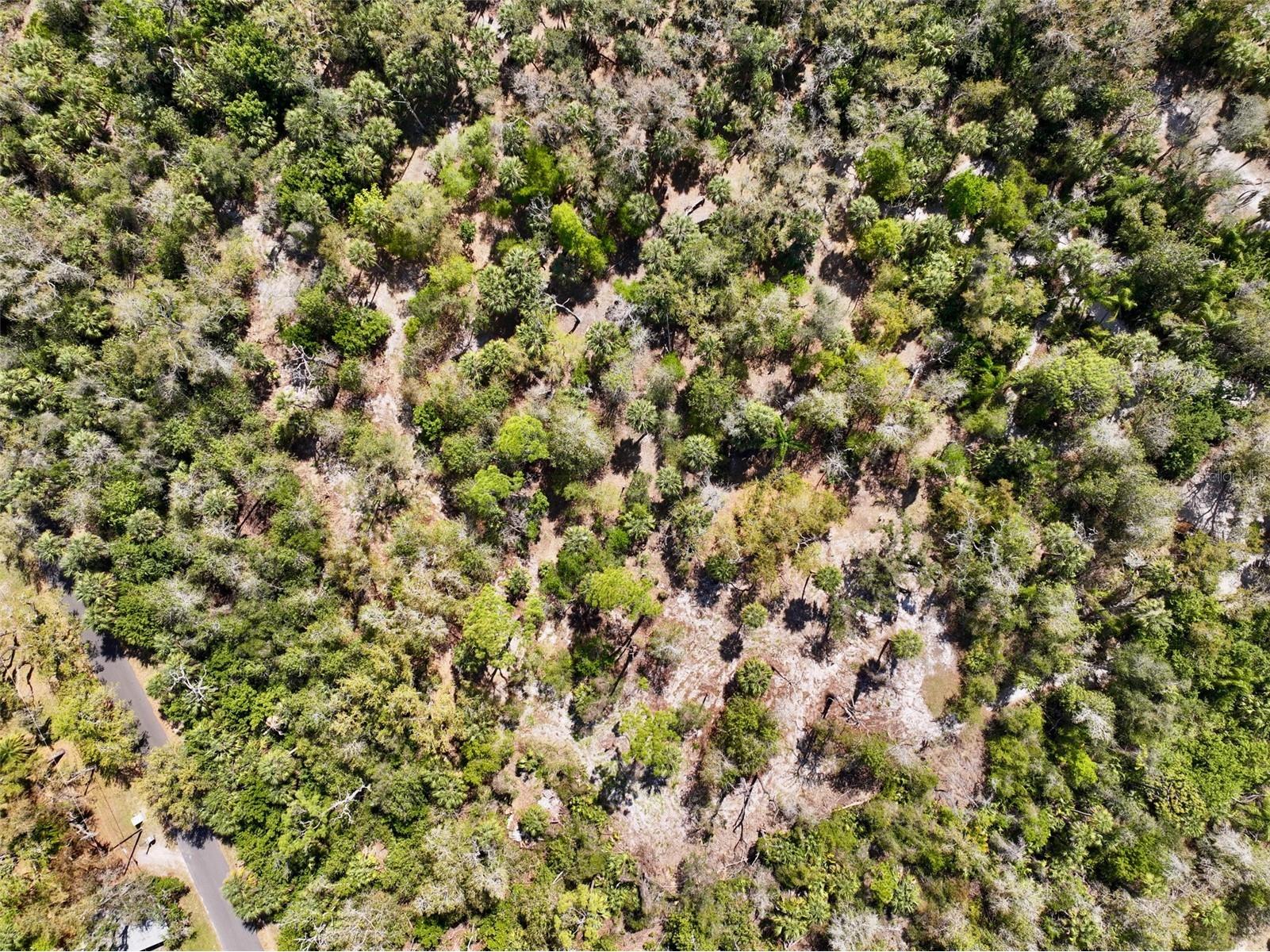 22901 Bayshore Road Punta Gorda FL 33980 C7523987 image11