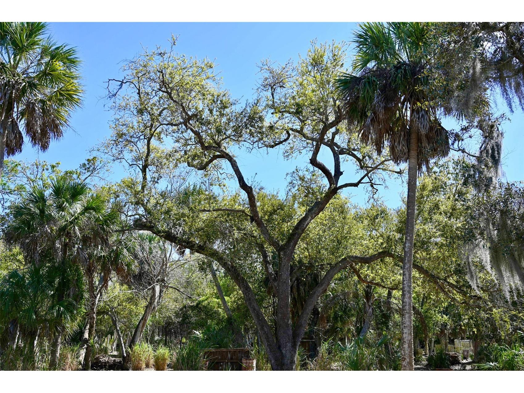 22901 Bayshore Road Punta Gorda FL 33980 C7523987 image16