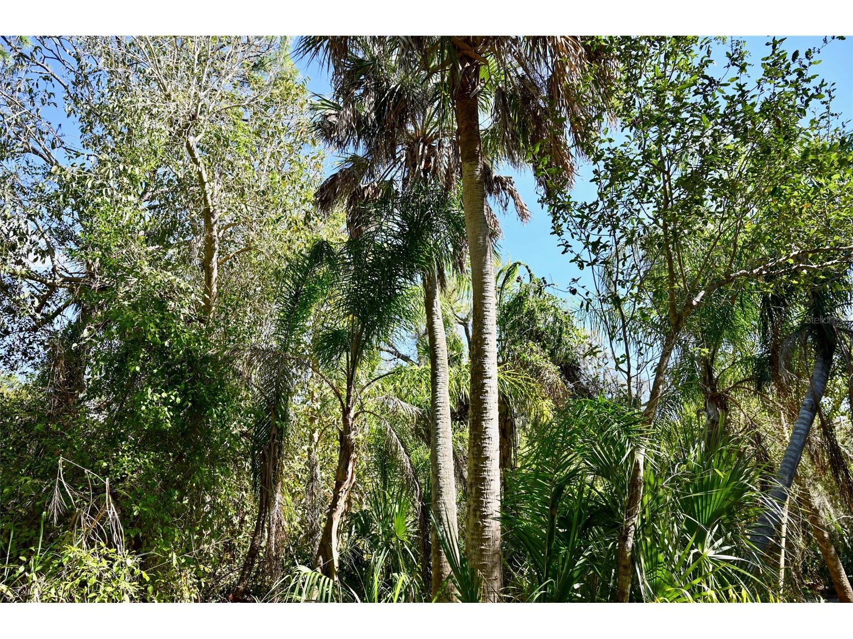 22901 Bayshore Road Punta Gorda FL 33980 C7523987 image4