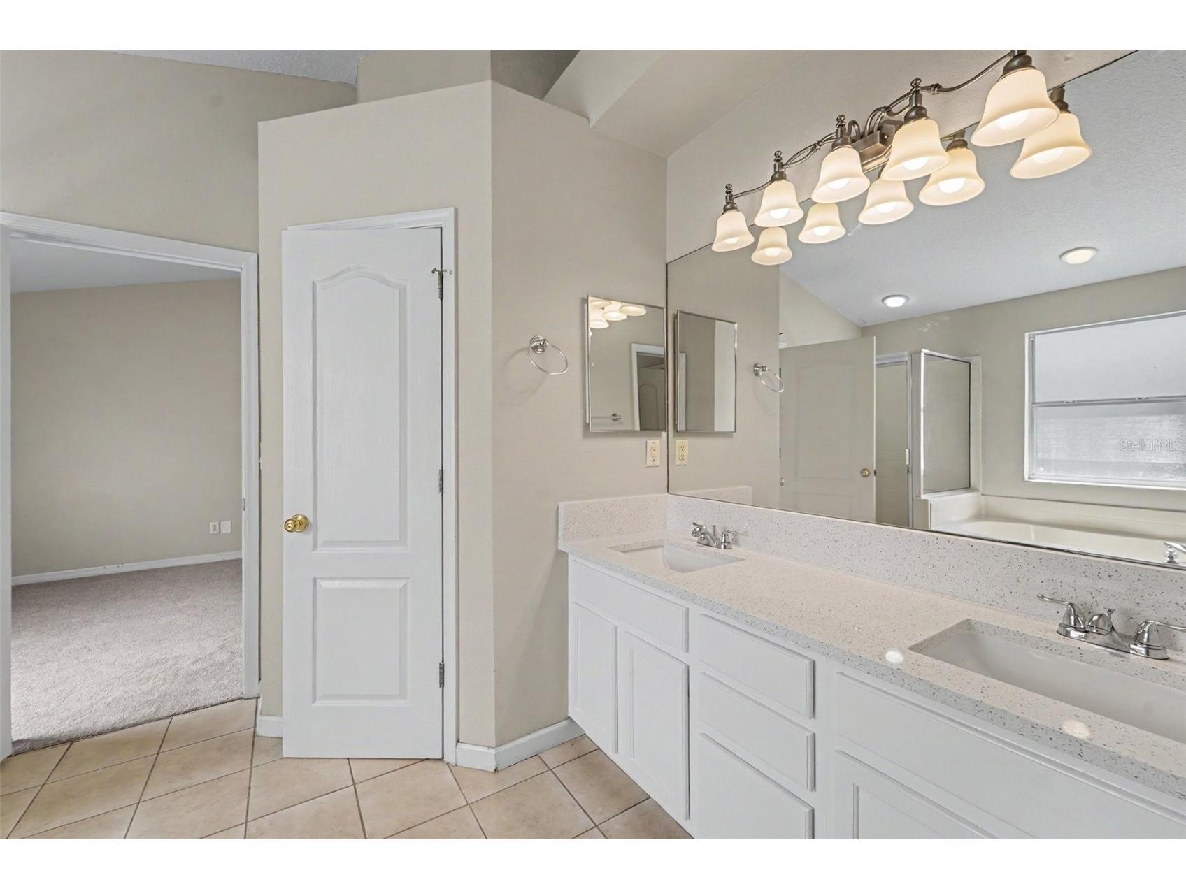 22901 Hawk Hill Loop Land O Lakes FL 34639 TB8530355 image21