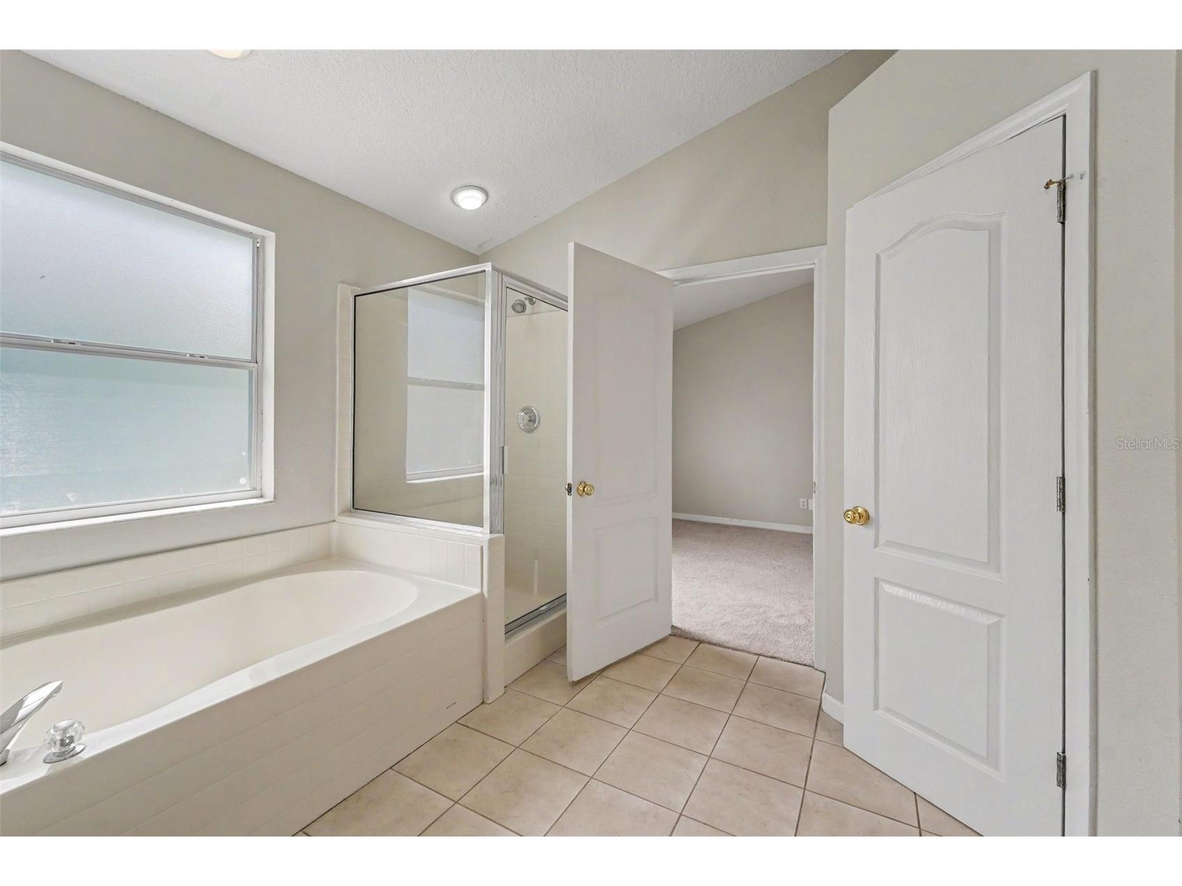 22901 Hawk Hill Loop Land O Lakes FL 34639 TB8530355 image22