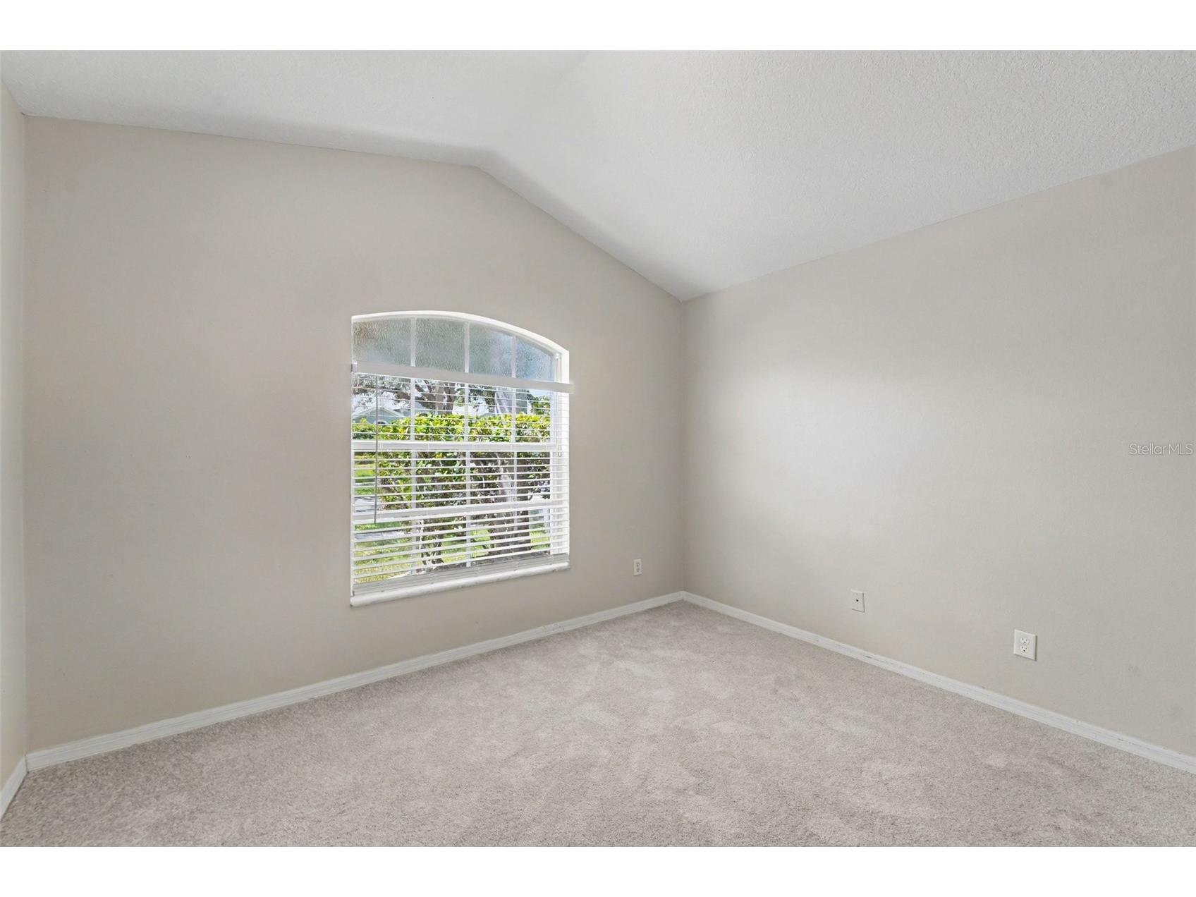 22901 Hawk Hill Loop Land O Lakes FL 34639 TB8530355 image25