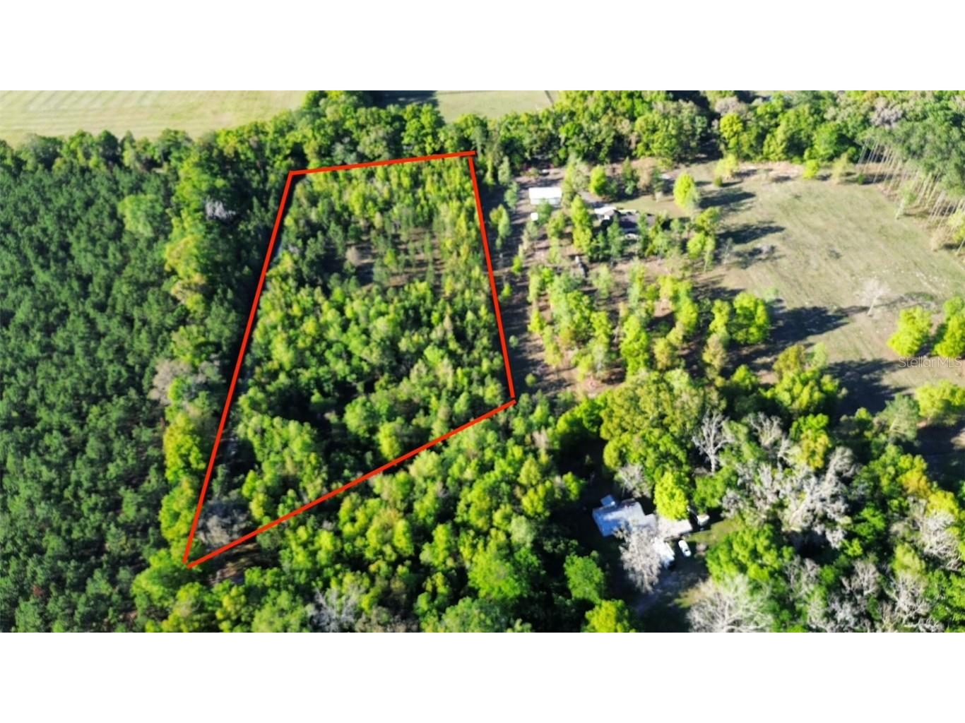 22901 SW 15th Avenue Newberry FL 32669 GC520426 image1