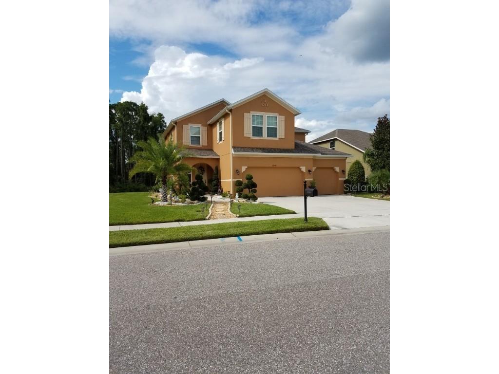 22909 Wood Violet Court Land O Lakes FL 34639 O6107500 image1