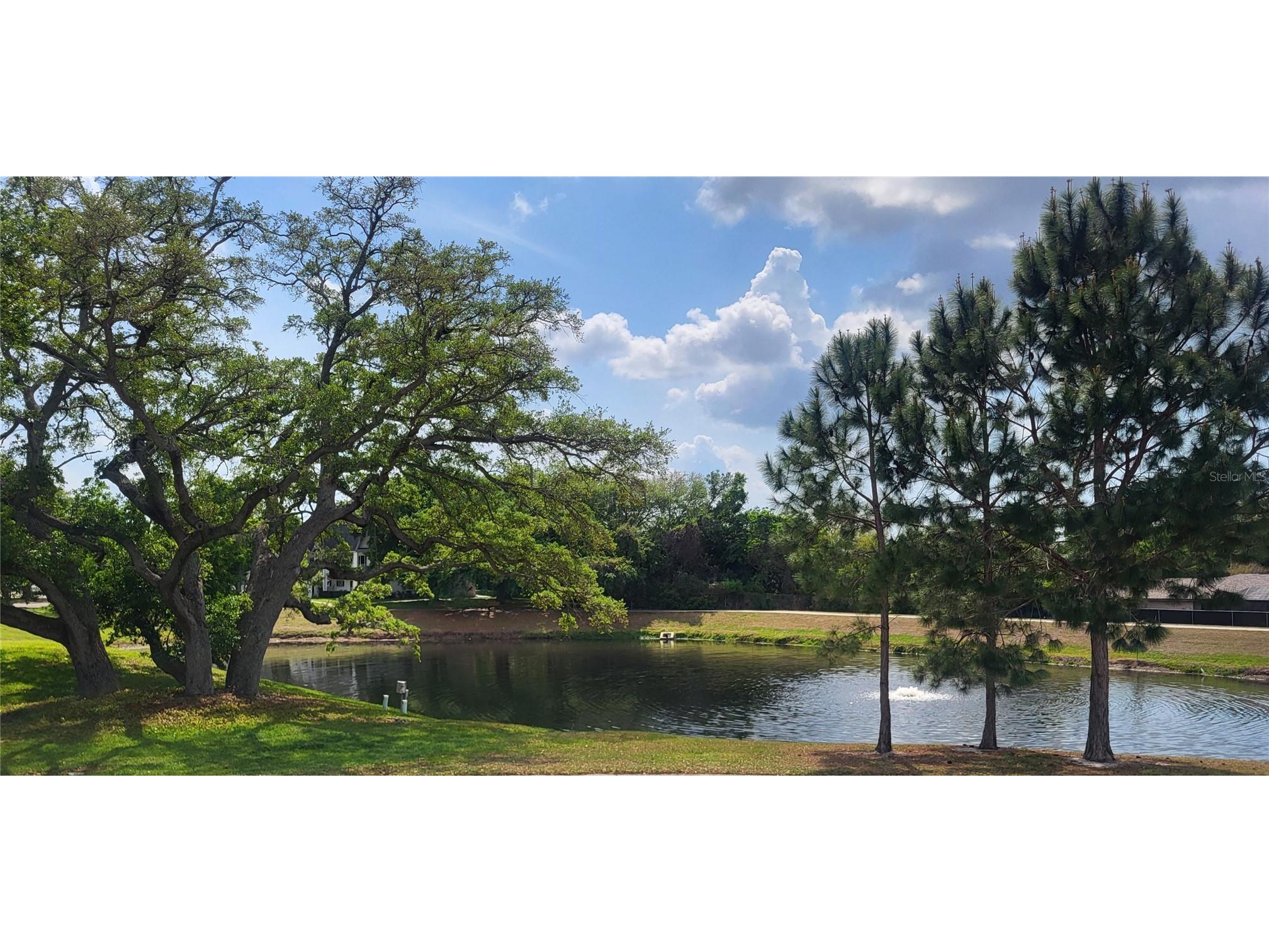 2291 Americus Boulevard W #37 Clearwater FL 33763 TB8490682 image3