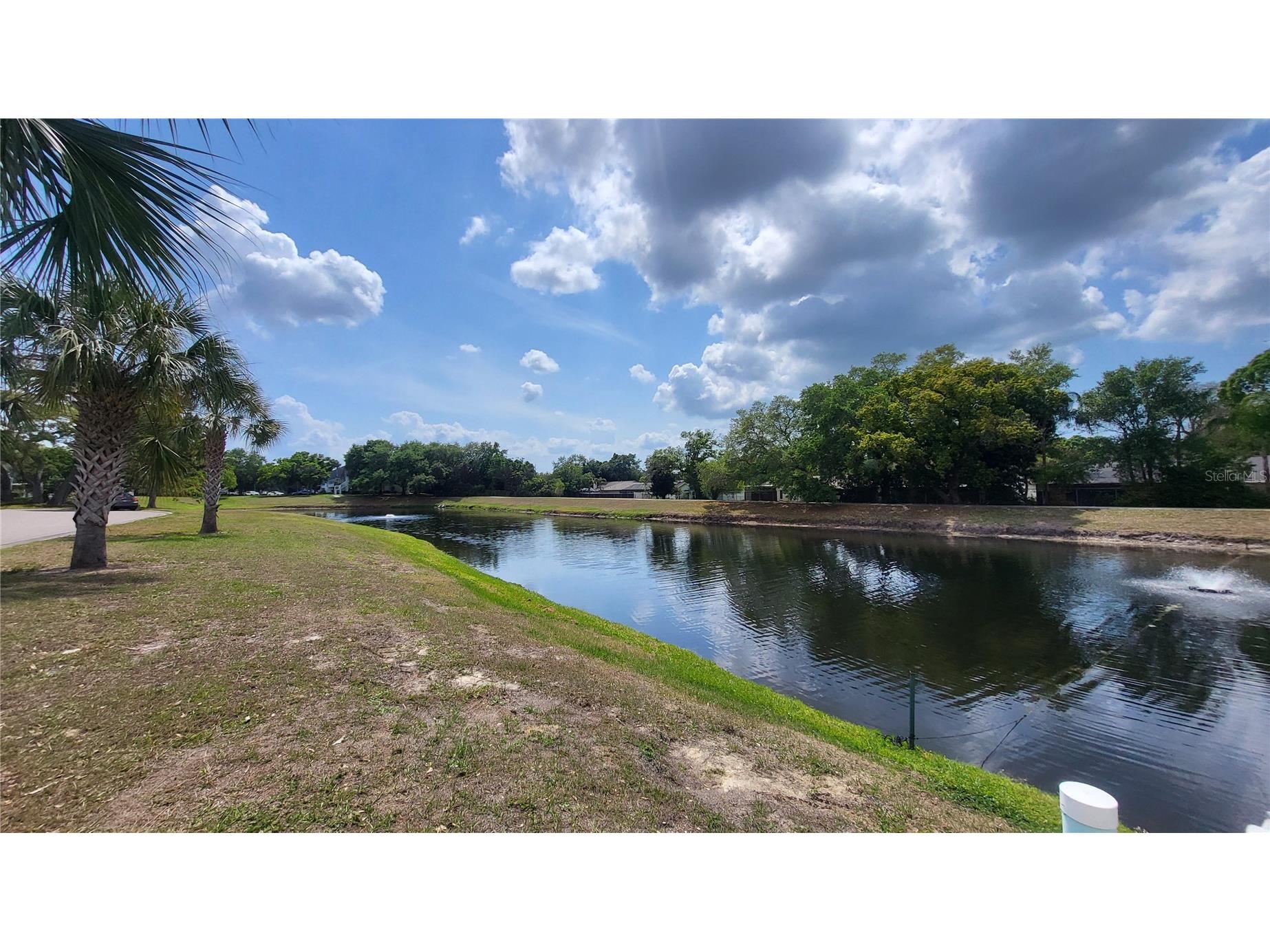 2291 Americus Boulevard W #37 Clearwater FL 33763 TB8490682 image4