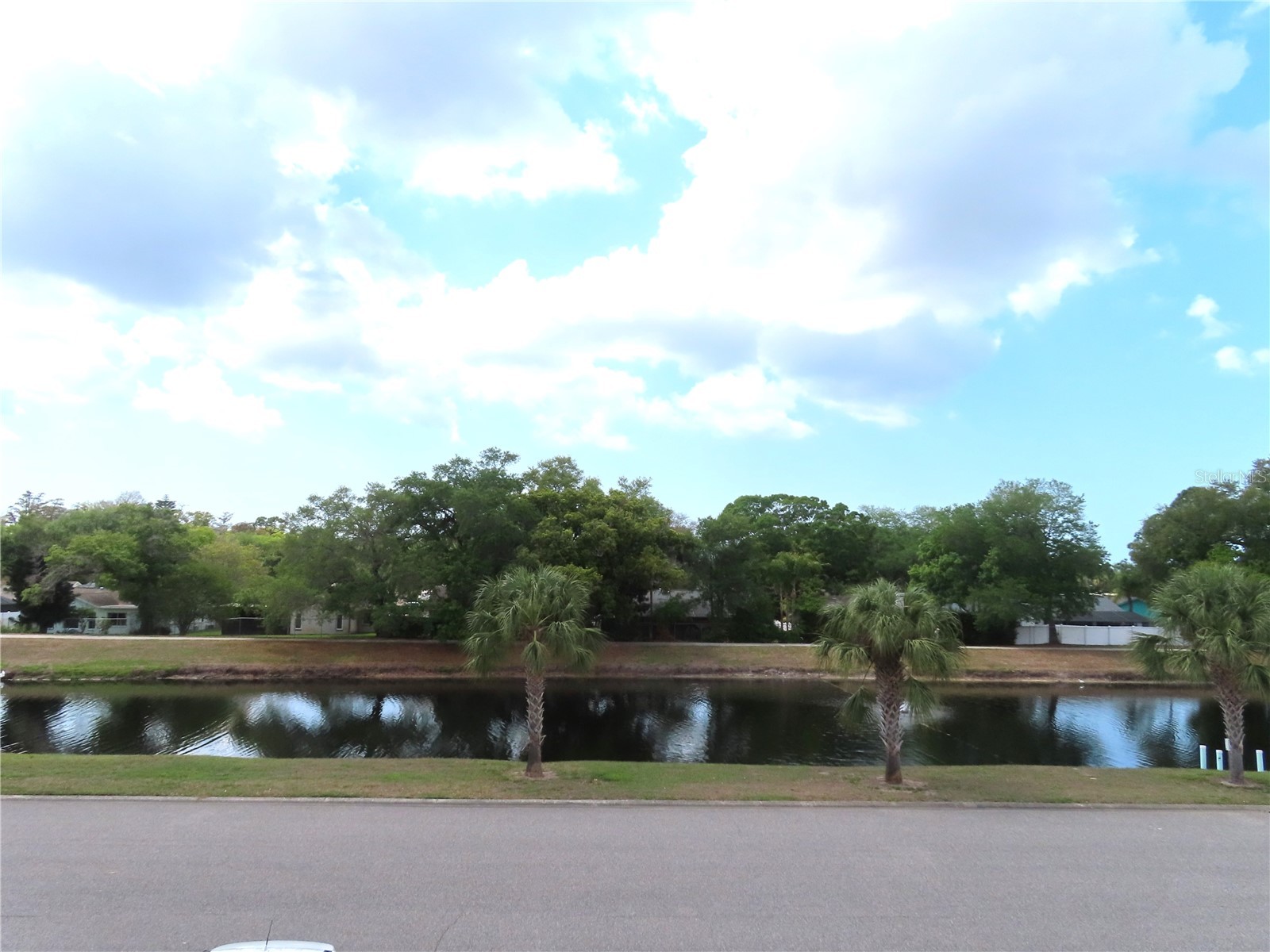 2291 Americus Boulevard W #37 Clearwater FL 33763 TB8490682 image5