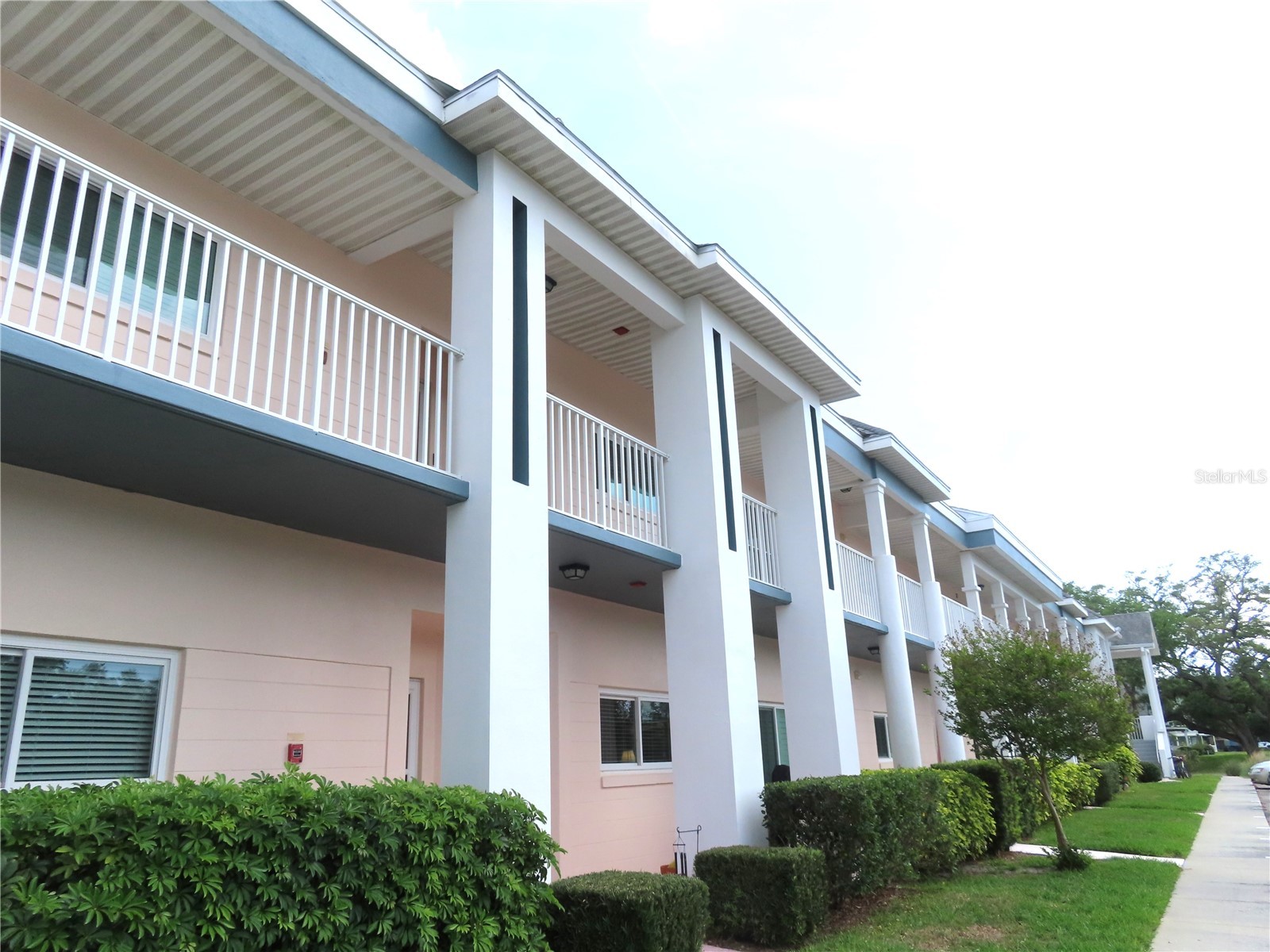 2291 Americus Boulevard W #37 Clearwater FL 33763 TB8490682 image6