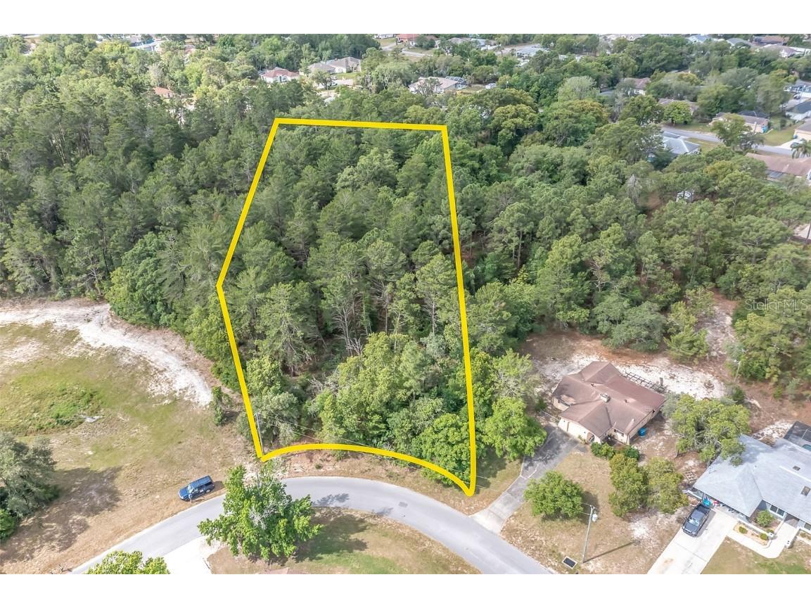 2291 Fayson Lane Spring Hill FL 34609 W7844653 image1