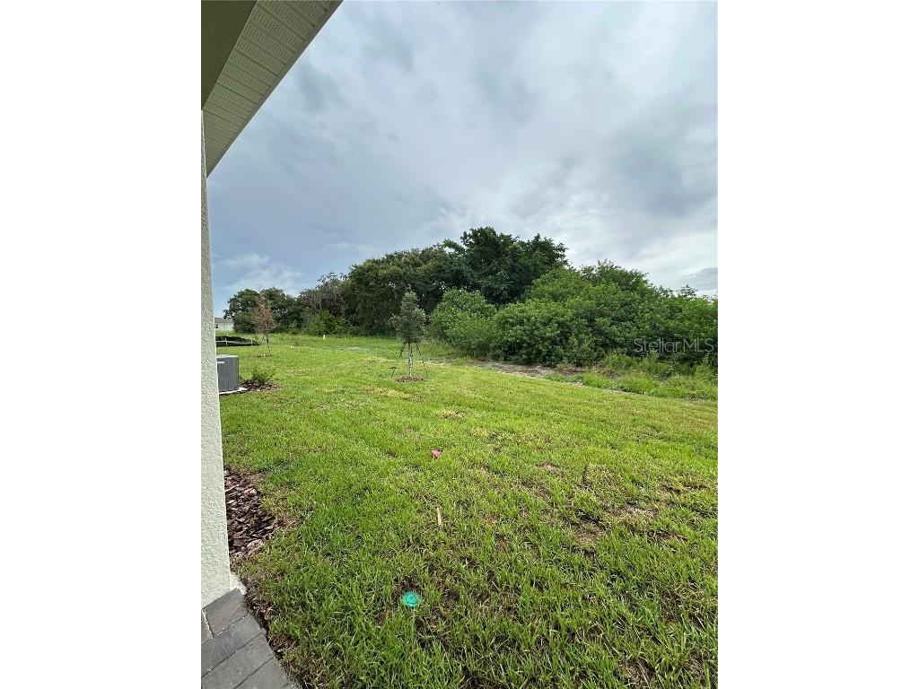 2291 Mossy Vine Avenue Saint Cloud FL 34771 O6328204 image30