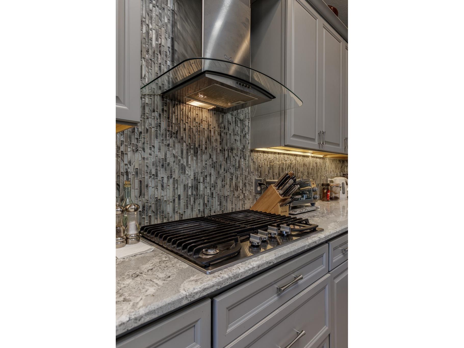 2291 N Mia Point Lecanto FL 34461 OM717464 image15