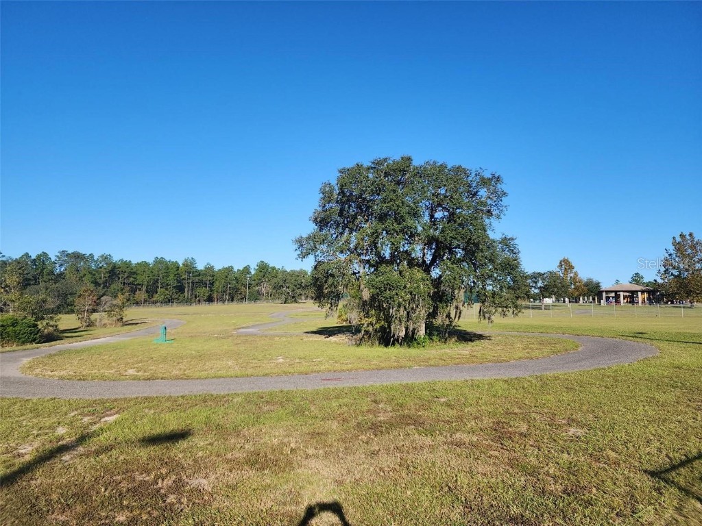 2291 NW Buena Vista Road Dunnellon FL 34431 OM679260 image15