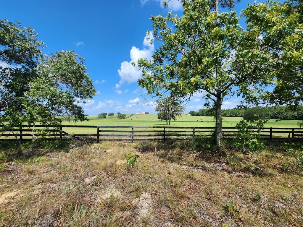 2291 NW Buena Vista Road Dunnellon FL 34431 OM679260 image34