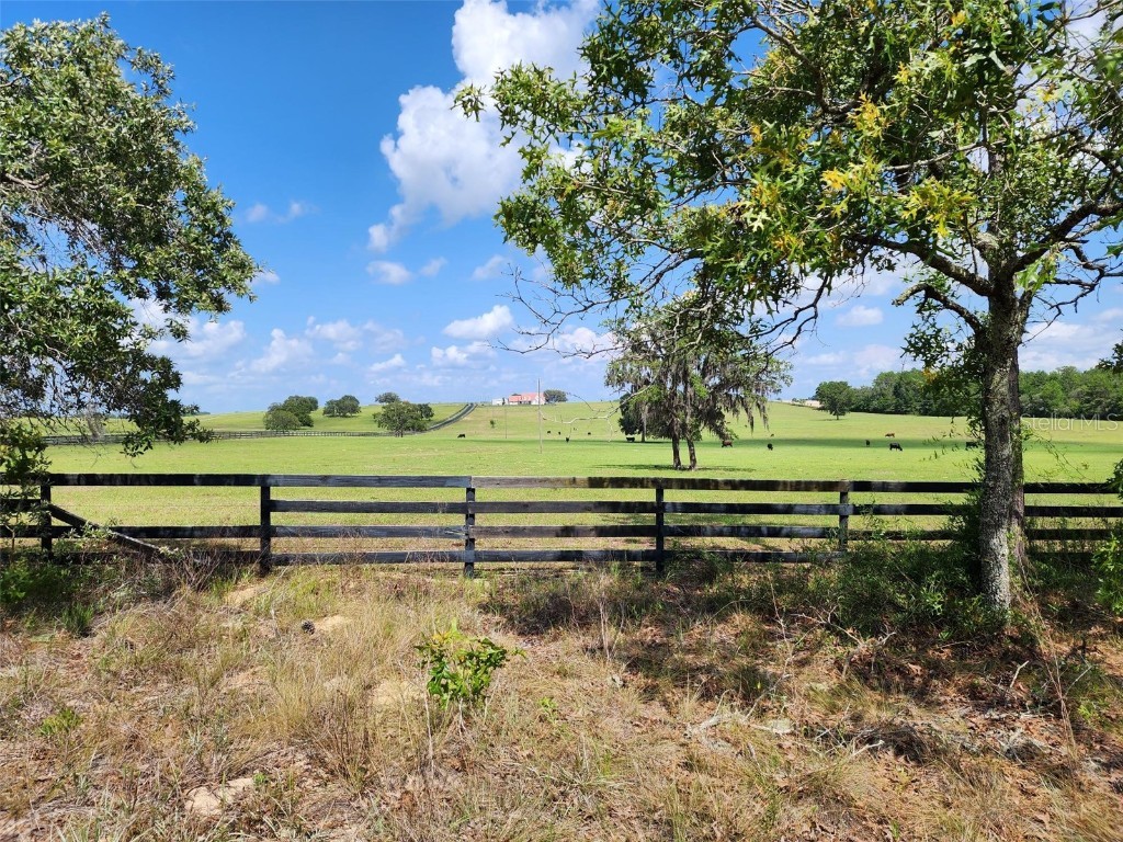 2291 NW Buena Vista Road Dunnellon FL 34431 OM679260 image4