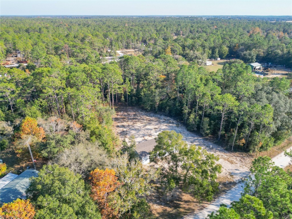 2291 SE 140 Avenue Morriston FL 32668 TB8450842 image2