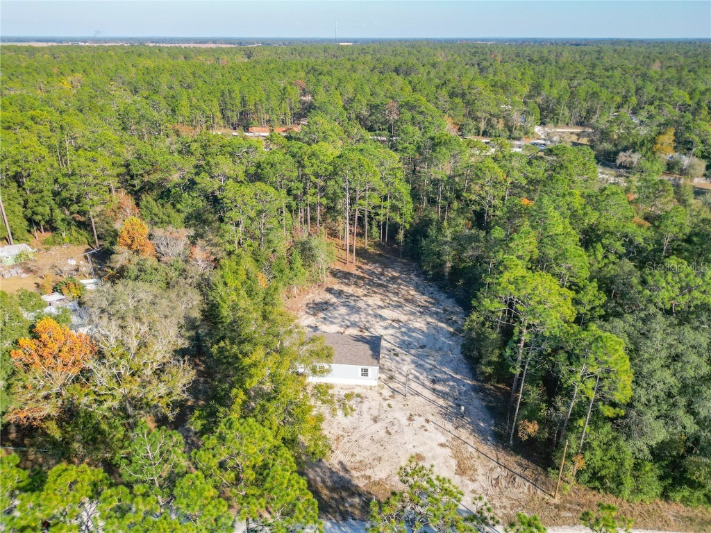 2291 SE 140 Avenue Morriston FL 32668 TB8450842 image3