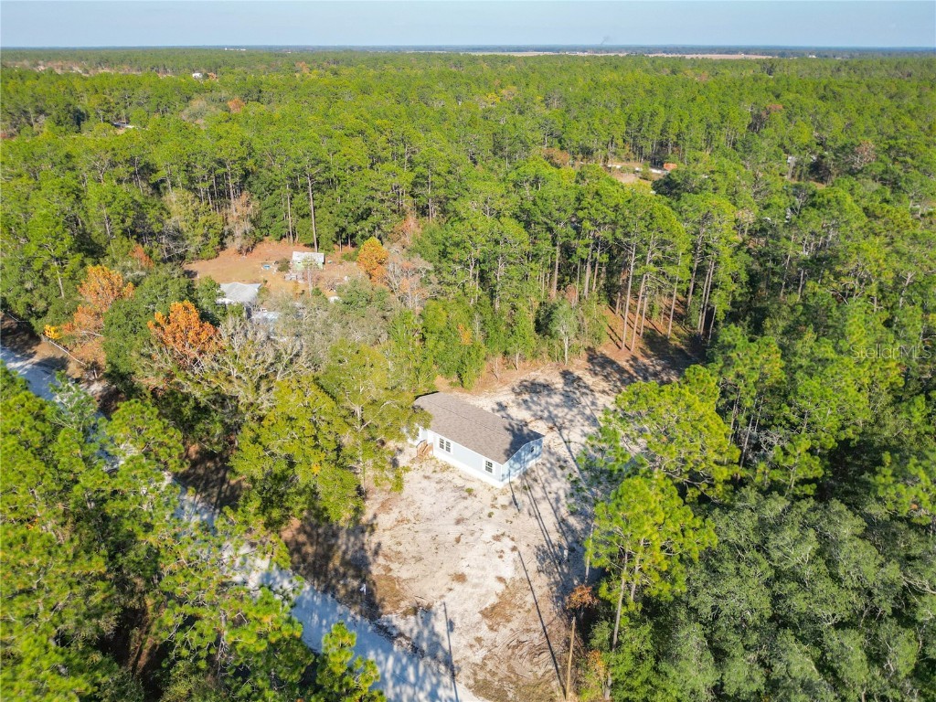 2291 SE 140 Avenue Morriston FL 32668 TB8450842 image4