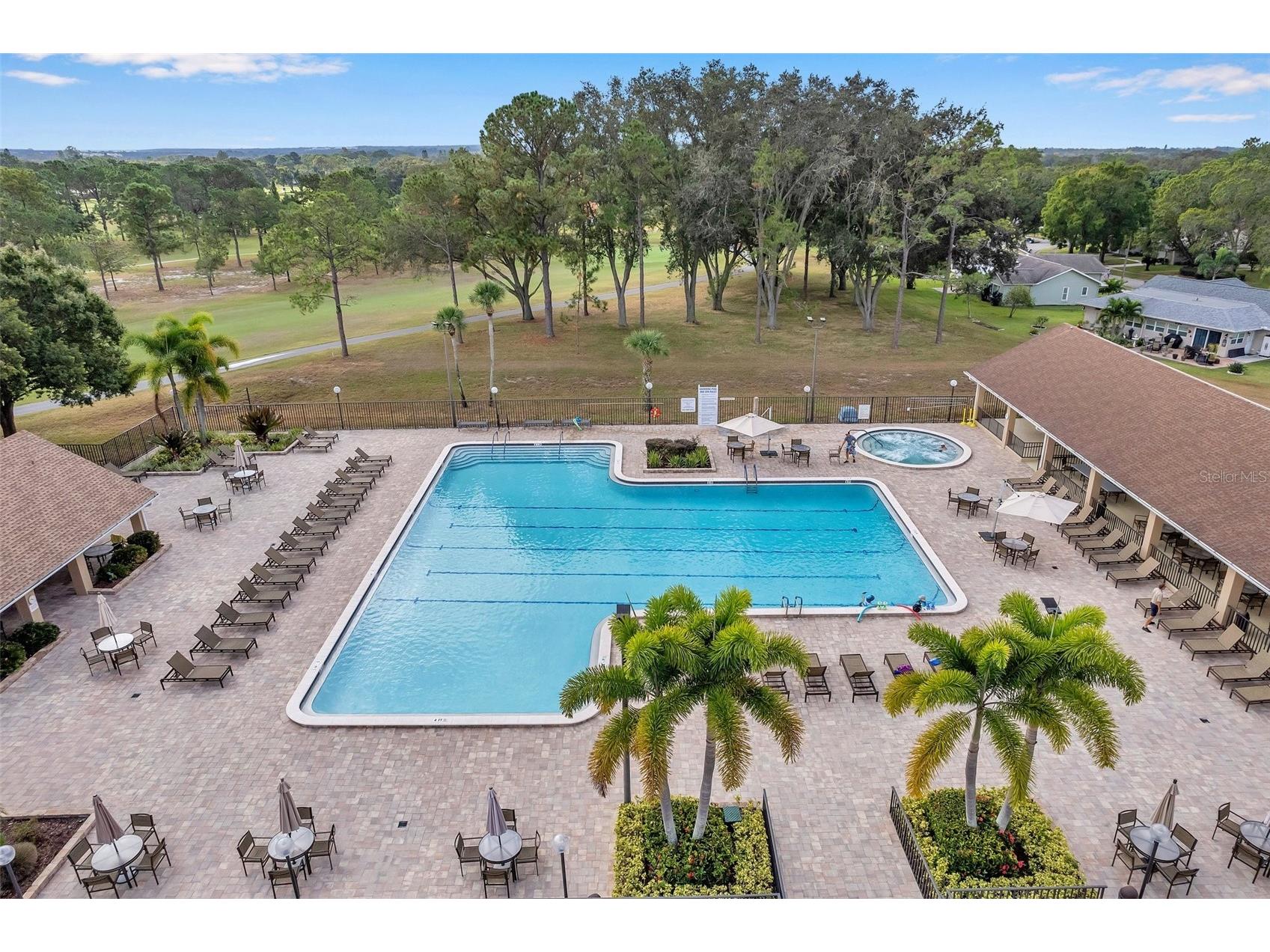 2291 Shelly Drive #D Palm Harbor FL 34684 TB8509267 image39