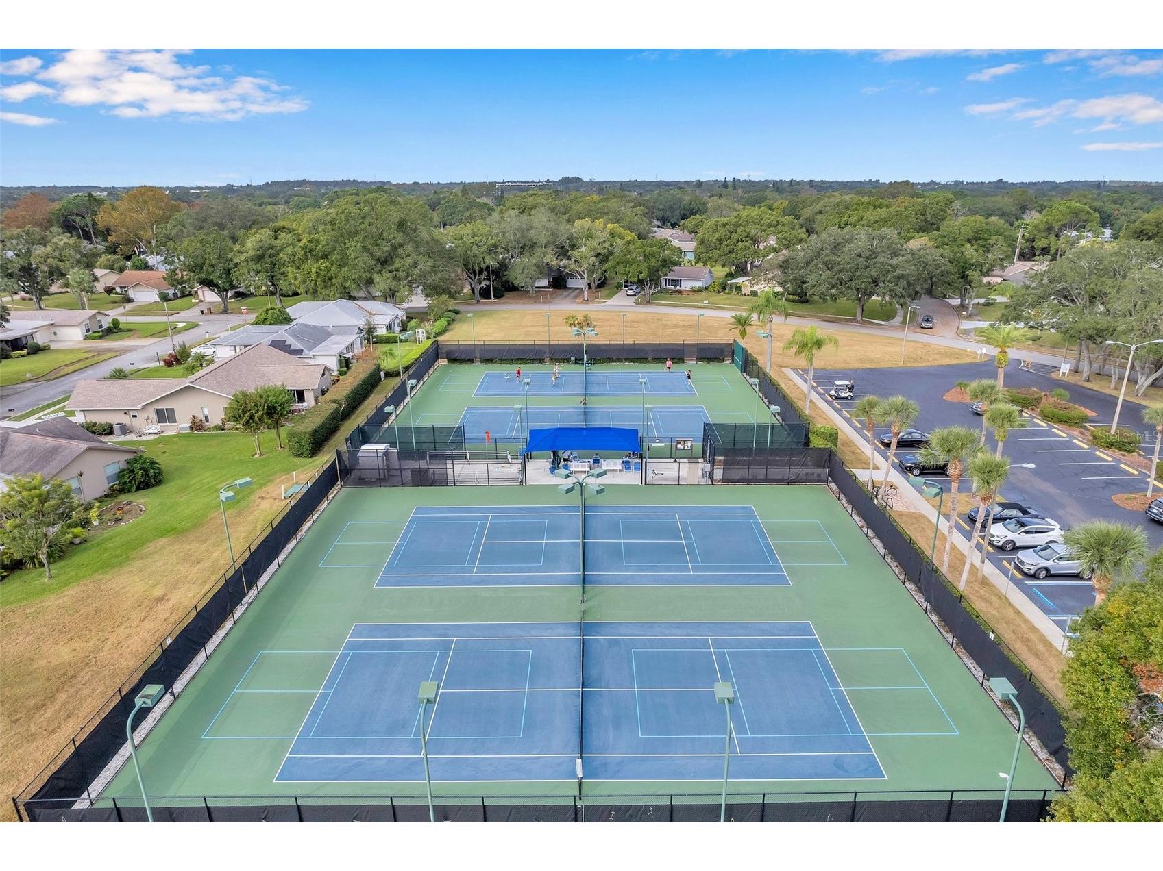 2291 Shelly Drive #D Palm Harbor FL 34684 TB8509267 image41