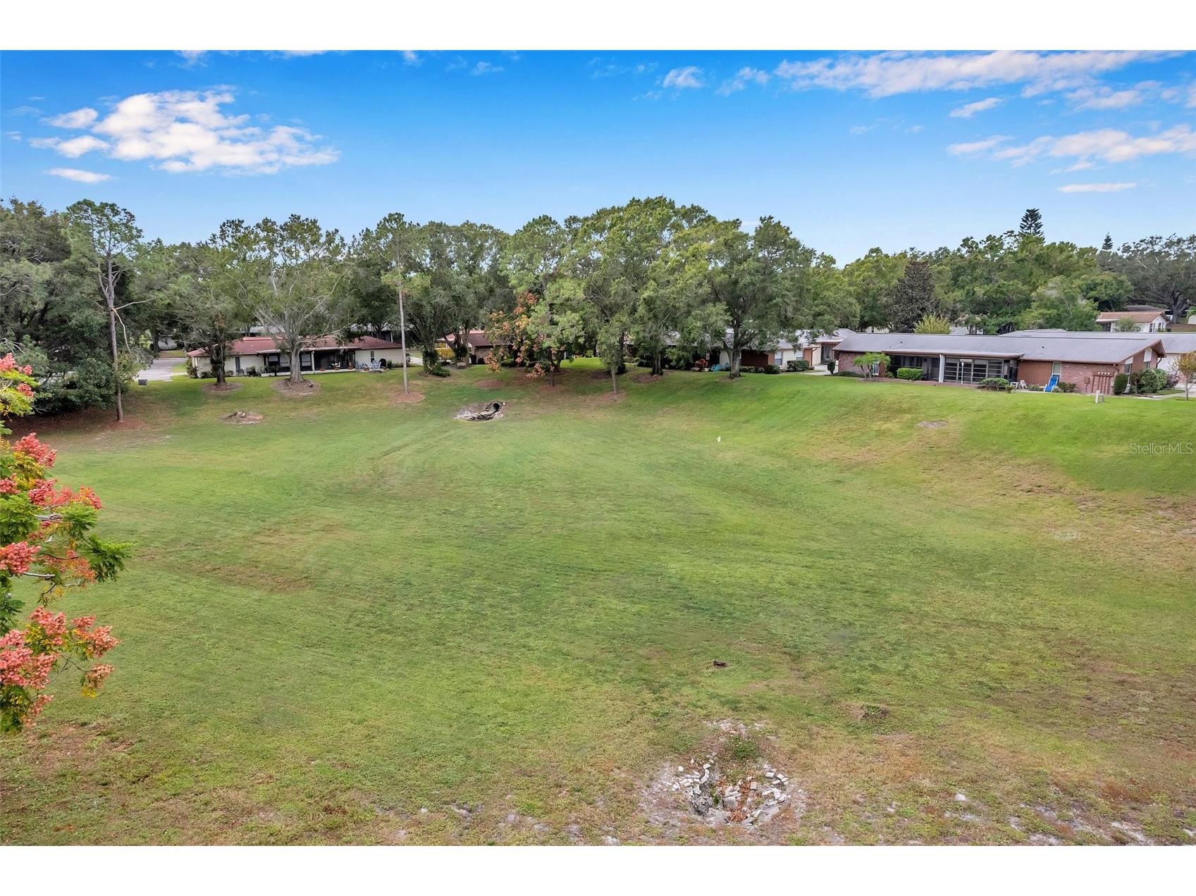 2291 Shelly Drive Drive #D Palm Harbor FL 34684 - LAKE TARPON TB8502691 image3