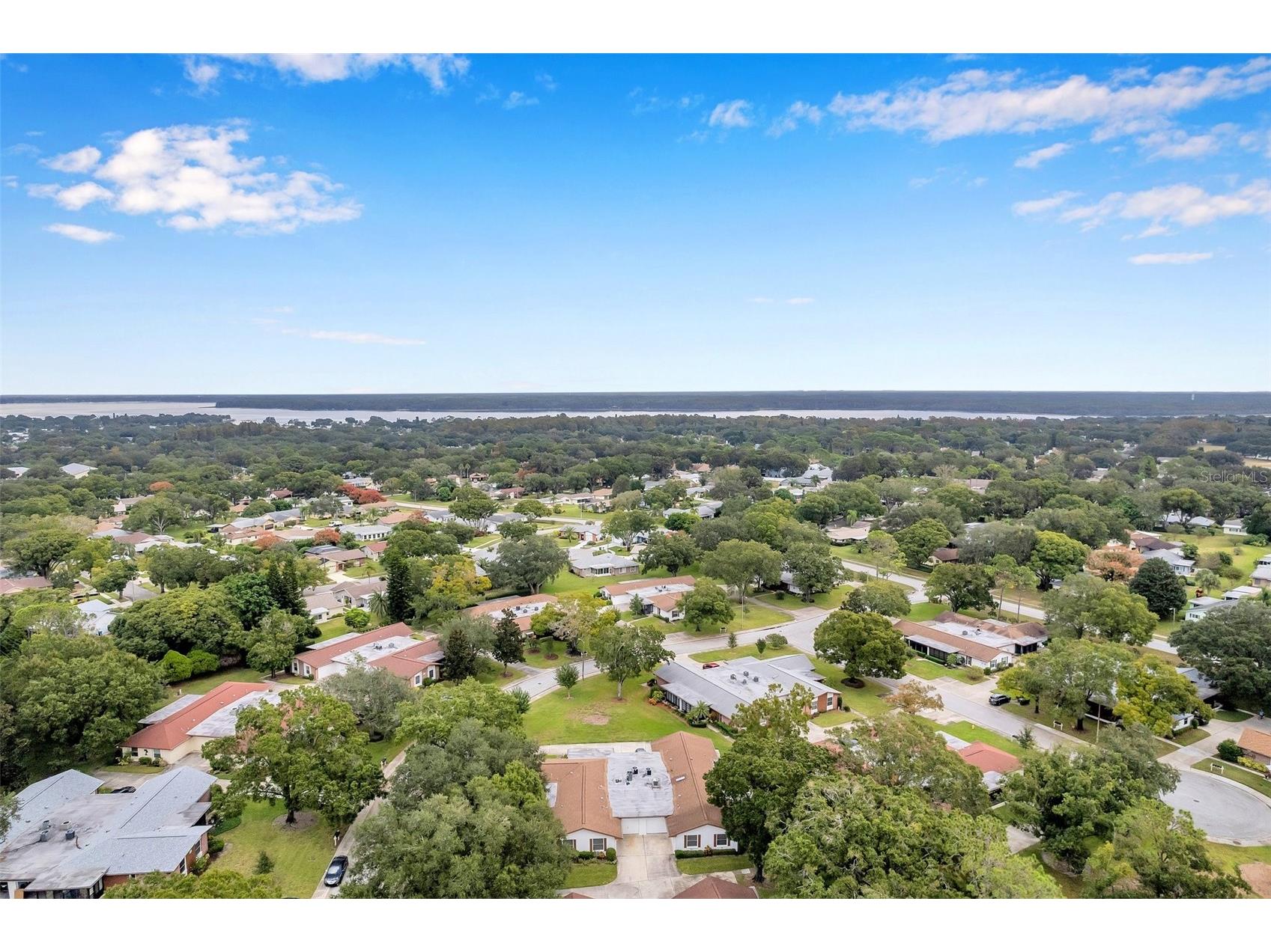 2291 Shelly Drive Drive #D Palm Harbor FL 34684 - LAKE TARPON TB8502691 image34