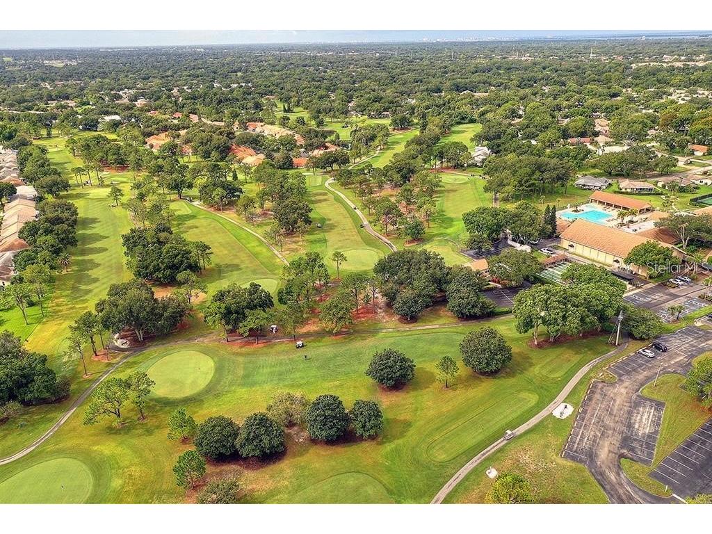 2291 Shelly Drive Drive #D Palm Harbor FL 34684 - LAKE TARPON TB8502691 image36