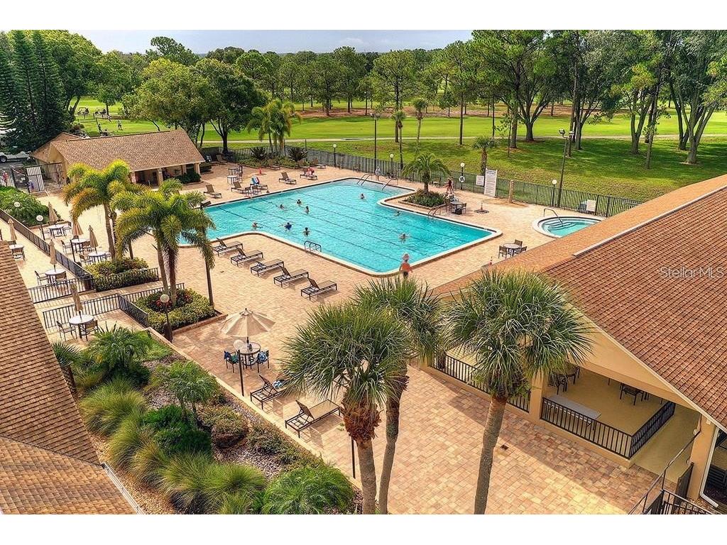 2291 Shelly Drive Drive #D Palm Harbor FL 34684 - LAKE TARPON TB8502691 image38