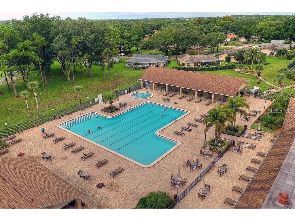2291 Shelly Drive Drive #D Palm Harbor FL 34684 - LAKE TARPON TB8502691 image39