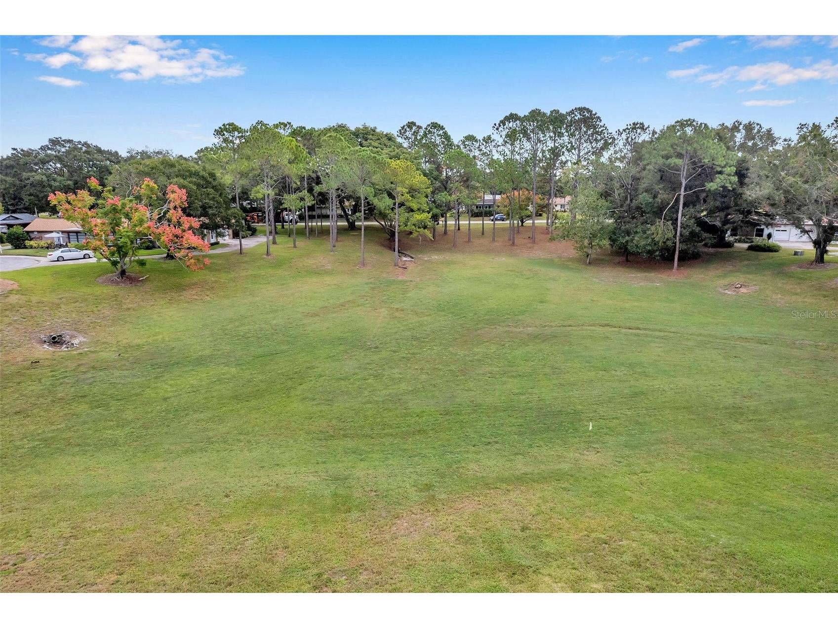 2291 Shelly Drive Drive #D Palm Harbor FL 34684 - LAKE TARPON TB8502691 image4