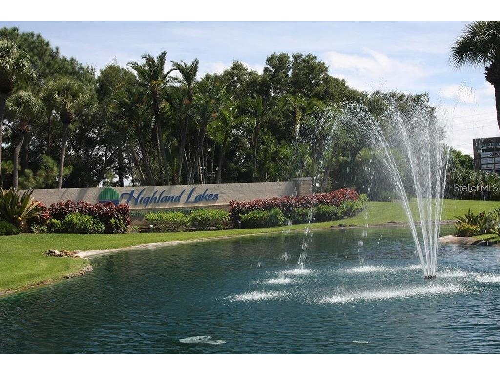 2291 Shelly Drive Drive #D Palm Harbor FL 34684 - LAKE TARPON TB8502691 image46