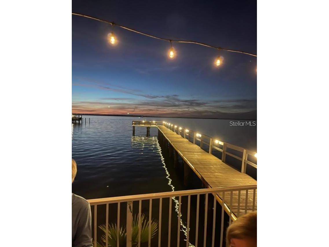 2291 Shelly Drive Drive #D Palm Harbor FL 34684 - LAKE TARPON TB8502691 image49