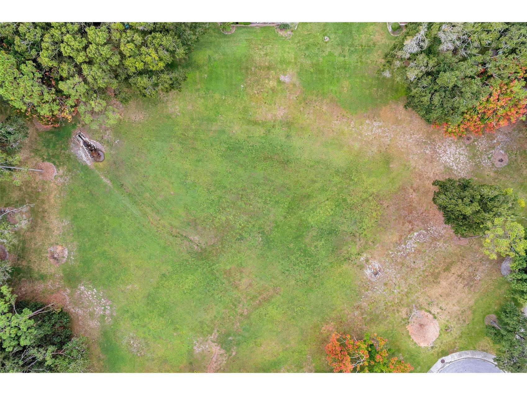 2291 Shelly Drive Drive #D Palm Harbor FL 34684 - LAKE TARPON TB8502691 image5