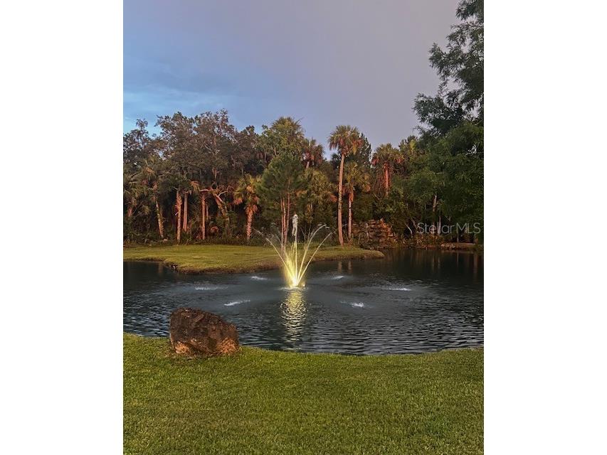 2291 Waccassa Street Geneva FL 32732 O6423875 image55